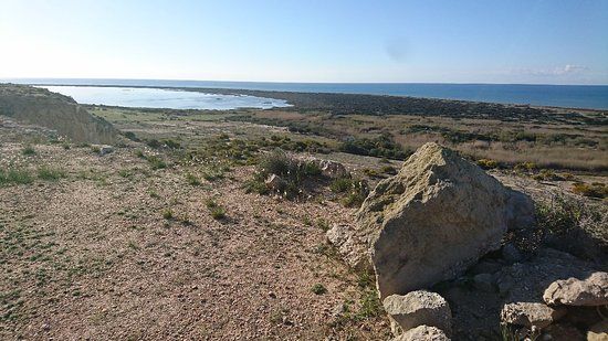 el Parque Natural Punta Entinas